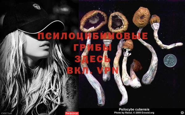 скорость mdpv Сосновый Бор