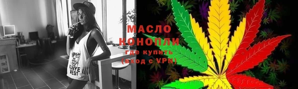 индика Сосновка