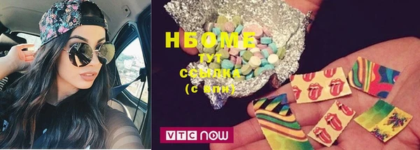 индика Сосновка