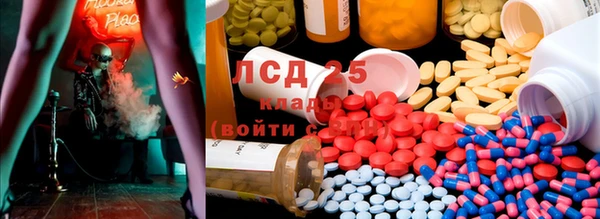 Альфа ПВП Сосновоборск